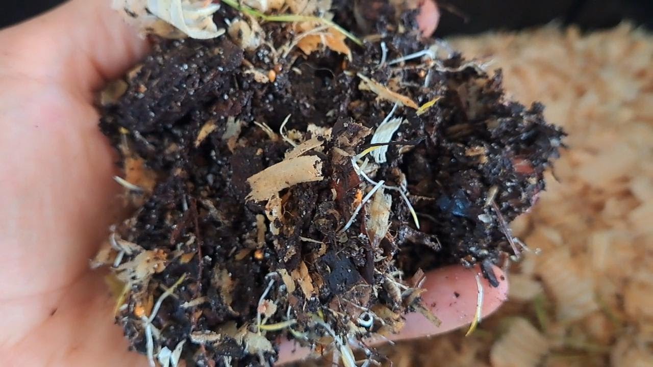 A Quick 'Compost Tea' Brew  - Groovy Vibes Farm