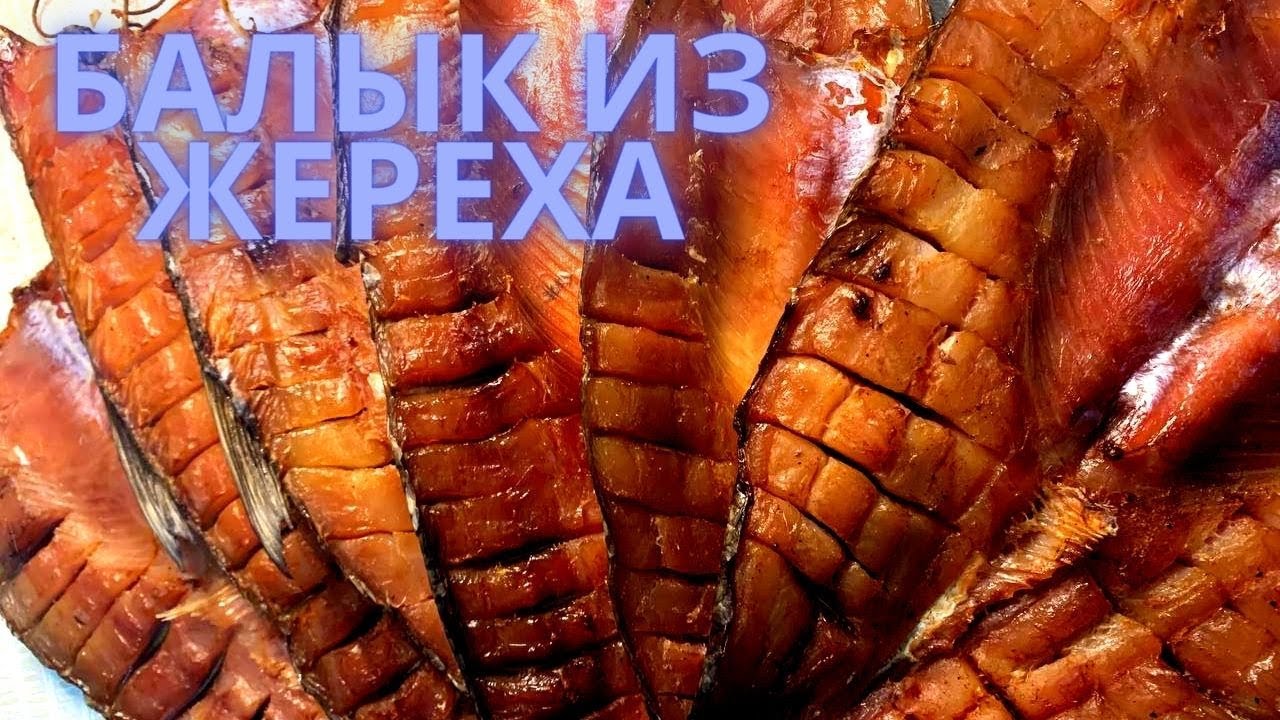 БАЛЫК ИЗ ЖЕРЕХА. Рецепт балыка для любой крупной речной рыбы!
