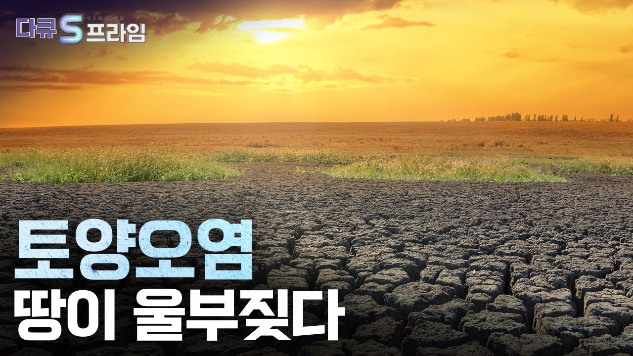 [다큐S프라임] 토양오염, 땅이 울부짖다 / YTN 사이언스