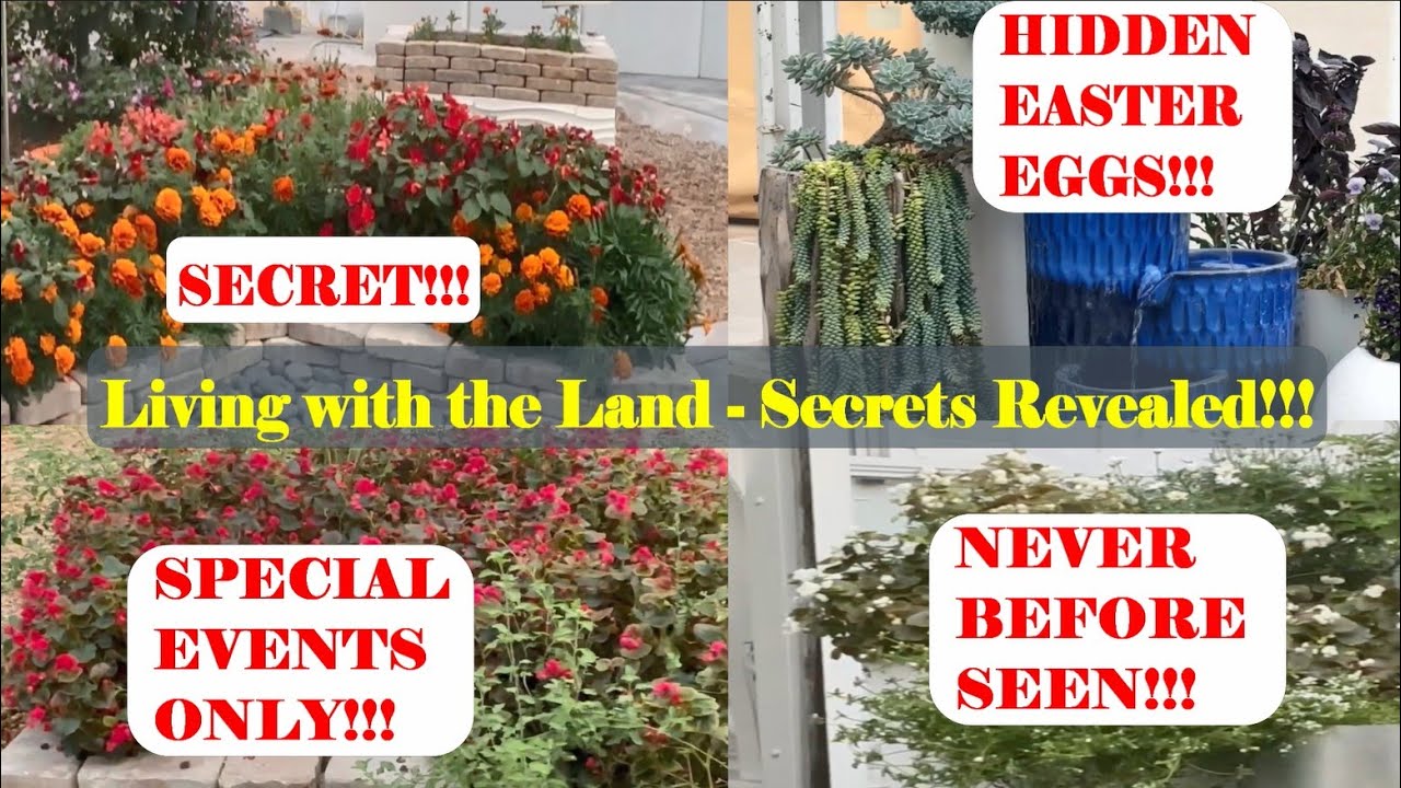 Living with the Land - Secrets Revealed! Full Ride POV and Easter Eggs! Epcot - Walt Disney World