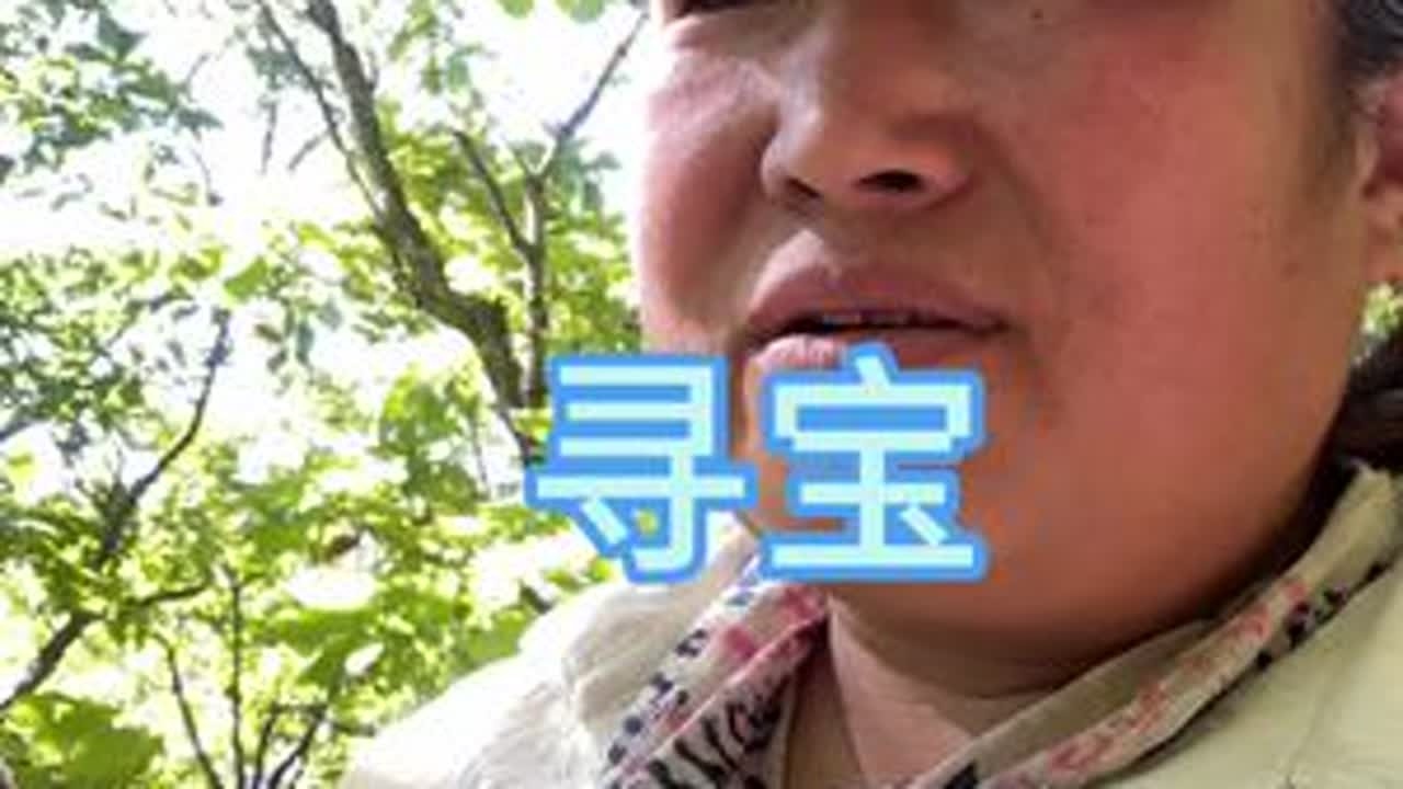 挑战全网，现在哪个地方还能挖到这么多松茸？#每天都记录我的农村真实生活日常 #记录我们生活中的点点滴滴 #用抖音记录我的真实生活