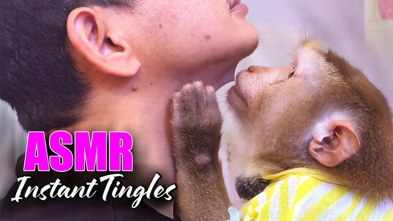 ASMR Monkey Grooming & Neck Massage | Instant Tingles to Sleep Faster
