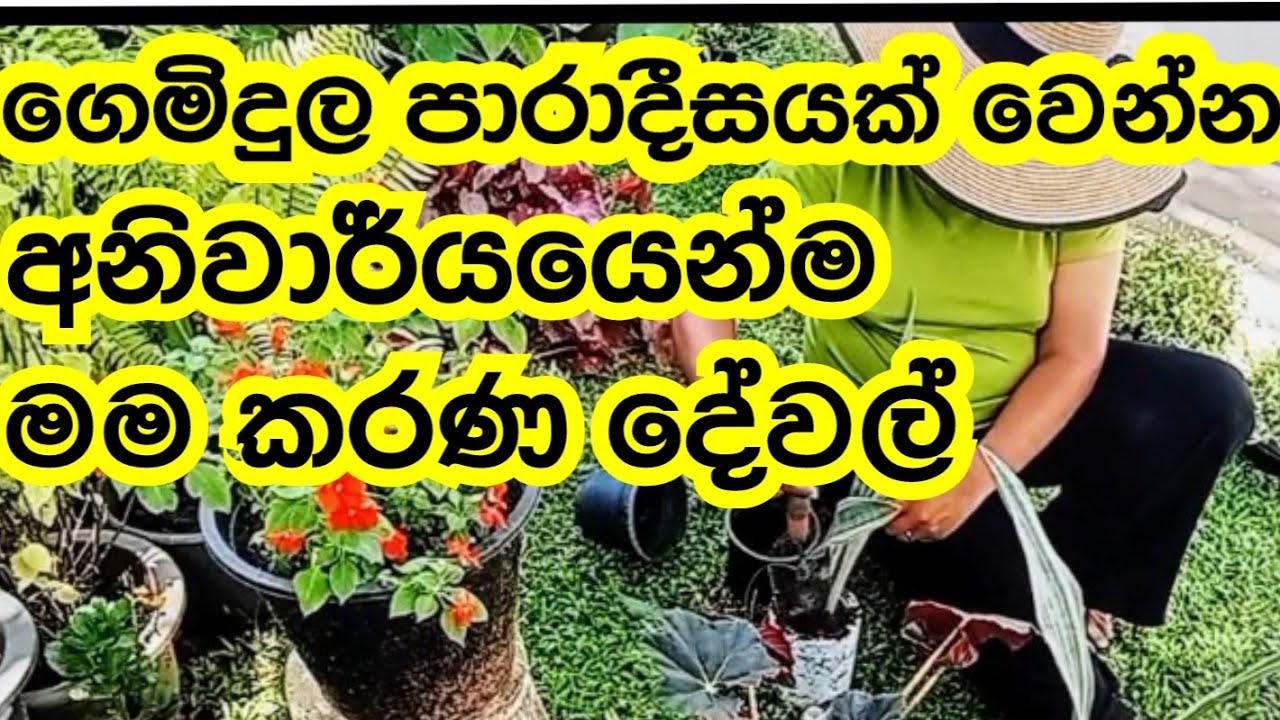 How to make garden easily 🌳🌵🪴 #gardenmakeover #mygarden #flower #garden #tips #tricks #easy #diy