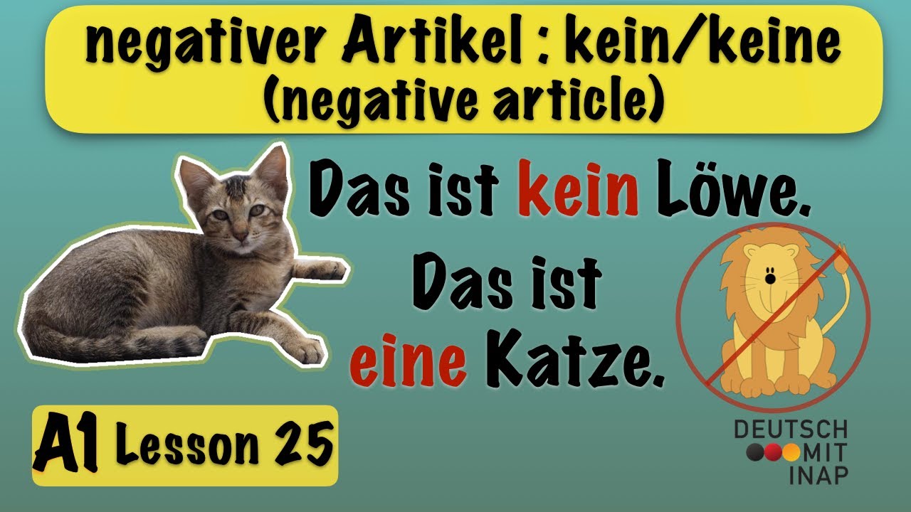 A1- German lesson 25 | negative articles in German : kein/keine | negative Artikel