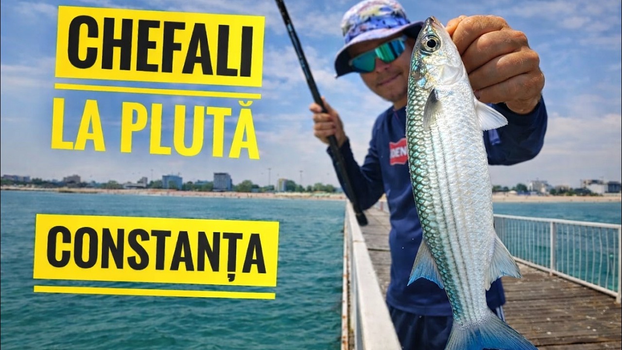 Am prins Chefali la Plută. Pasarela din Constanța.