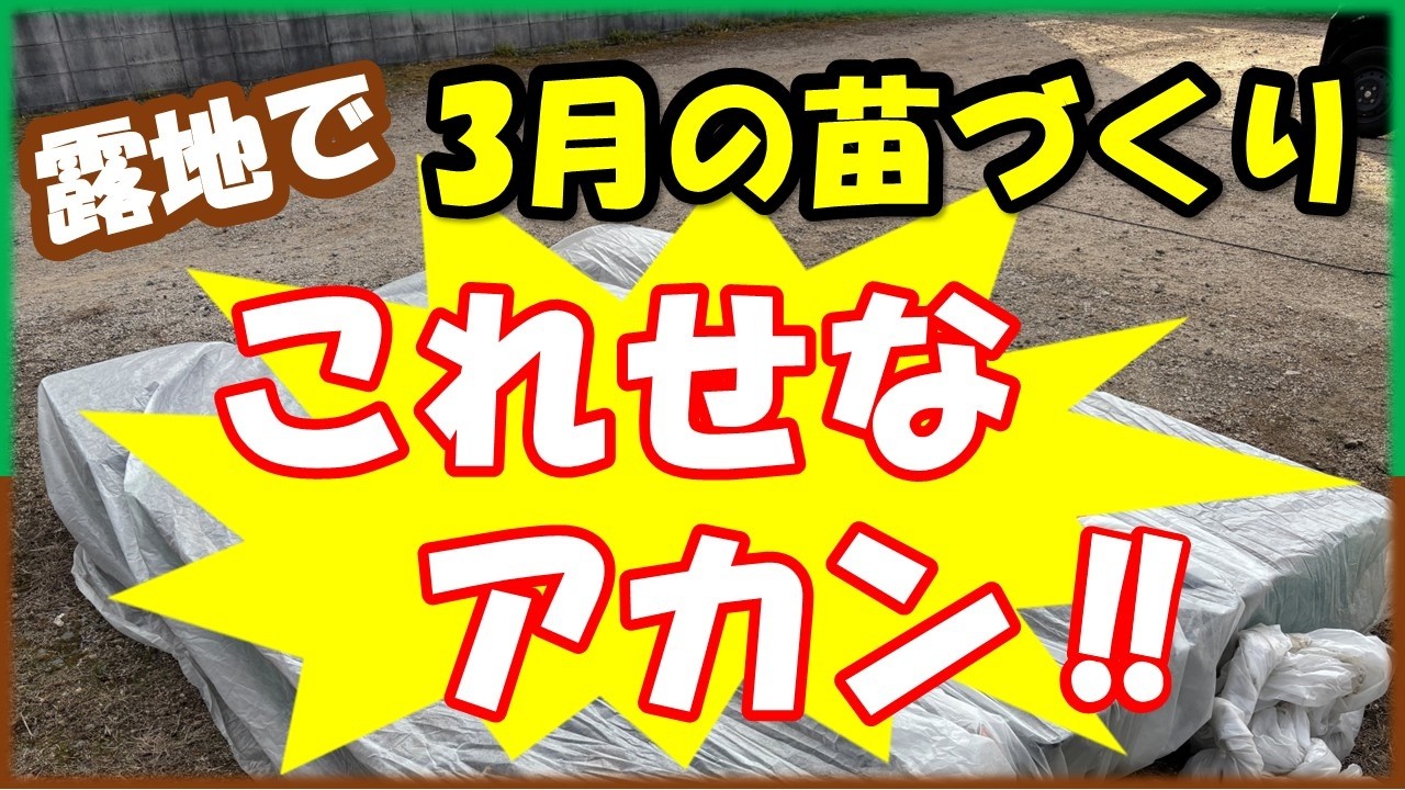 3月の育苗はコレで守れ！○○○だけで苗は育つ