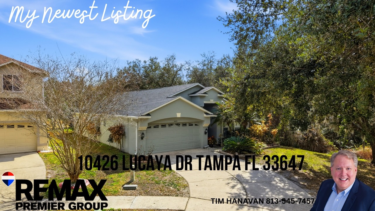 10426 Lucaya DR Tampa FL 33647