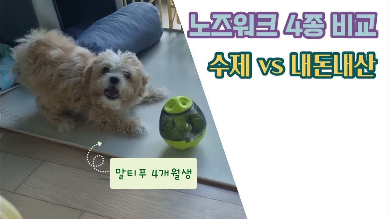 말티푸 아가의 노즈워크 비교(휴지심/손수건/오뚜기/당근밭 노즈워크)