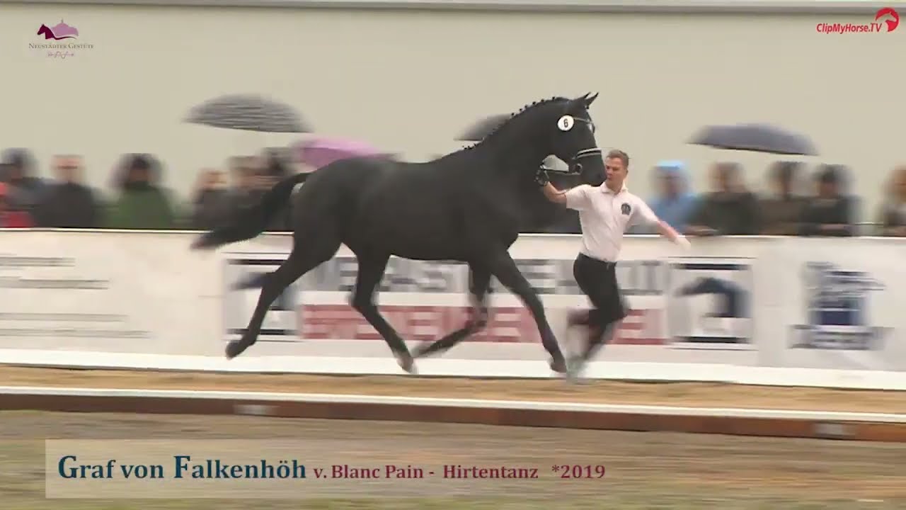 Blanc Pain v. Peron Junior - Silvermoon