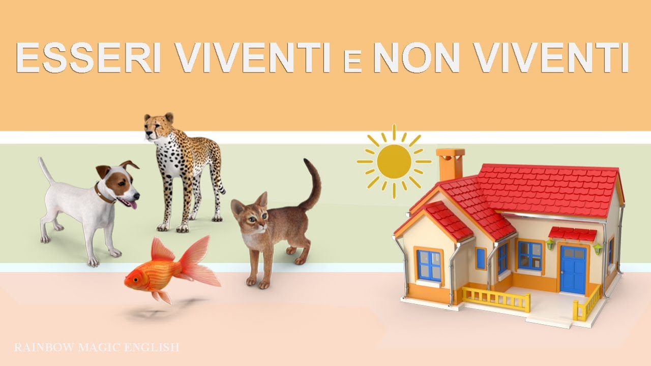 Esseri viventi e non viventi