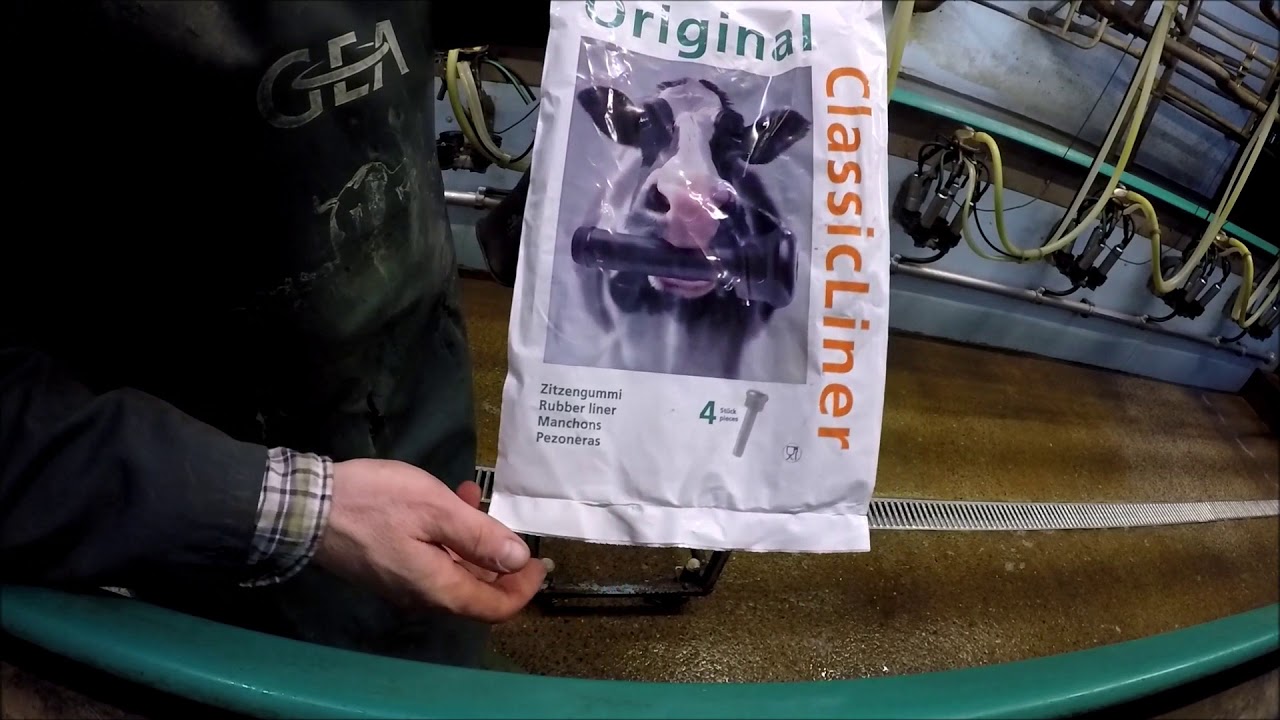 Livestock farm winter jobs. Part 2. GEA milking parlour liners change.