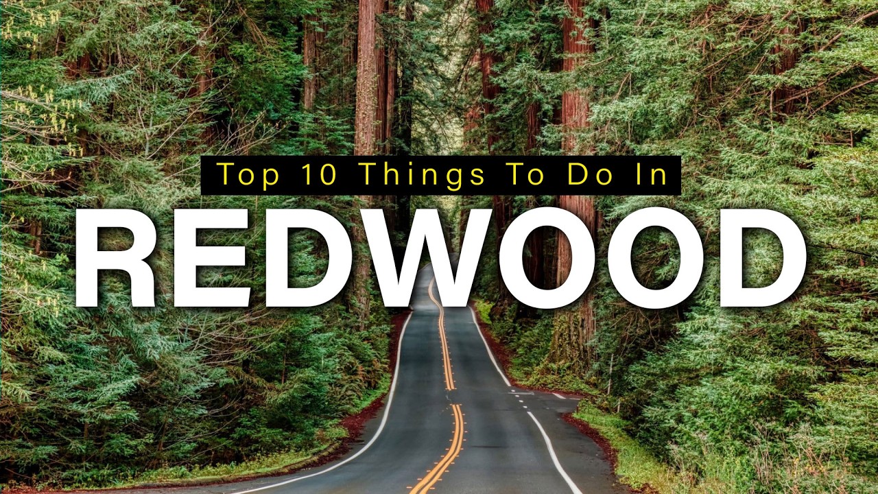 Top 10 Things To Do In Redwood National Park