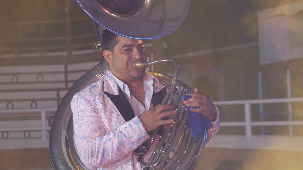 Intro /El Son De La Iguana- La Impactante Banda Tierra De Jalisco (En Vivo)