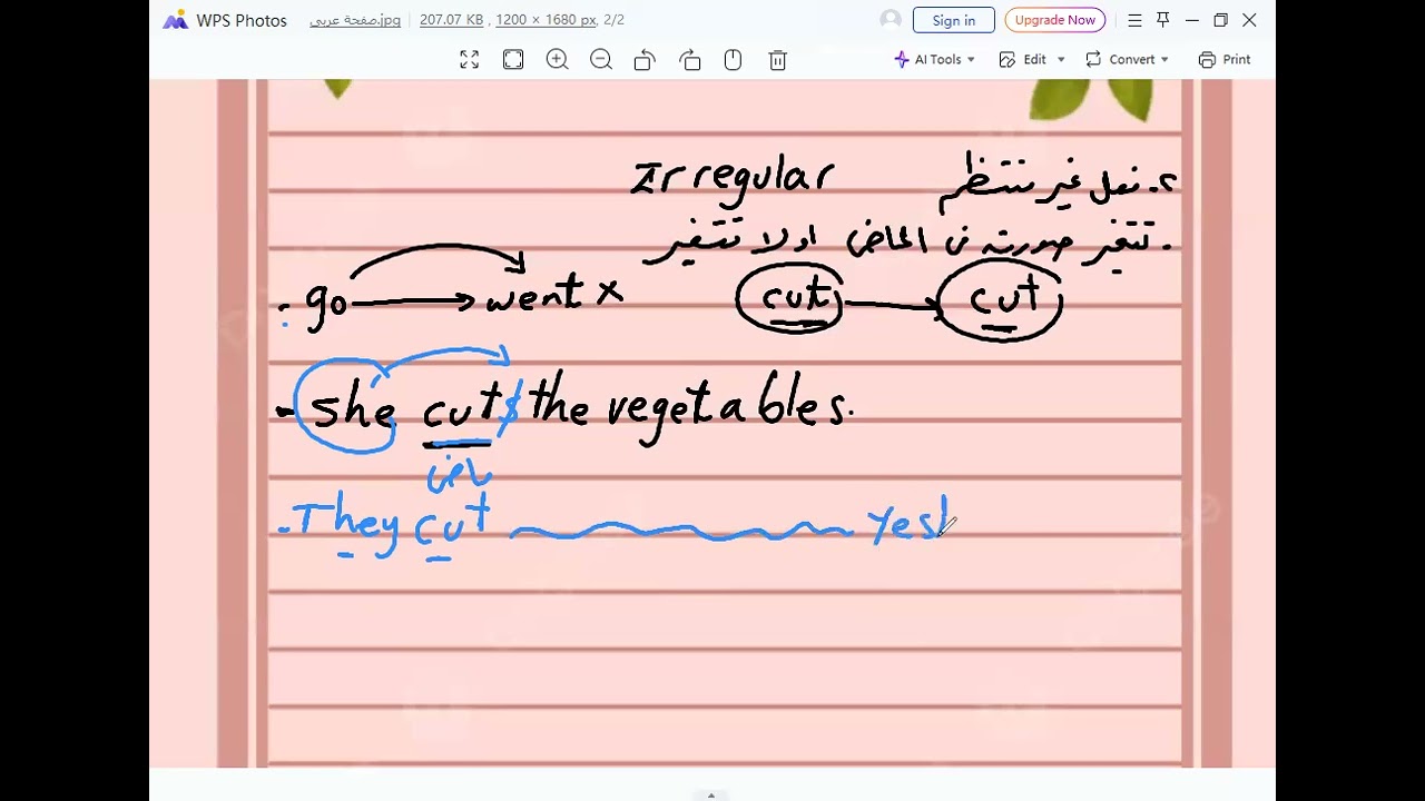 اولى ثانوى المنهج الجديد / شرح جرامر Unit 7