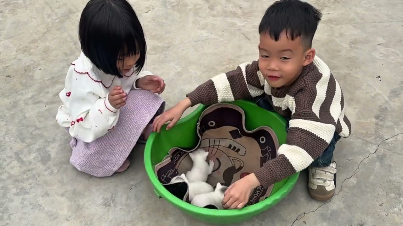 M2 Tết ngoại - ra vườn hái quả 🥰🥰 #giaitrivui #haihuoc #vuichoicungcon #yeucuocsong #giadinh 
