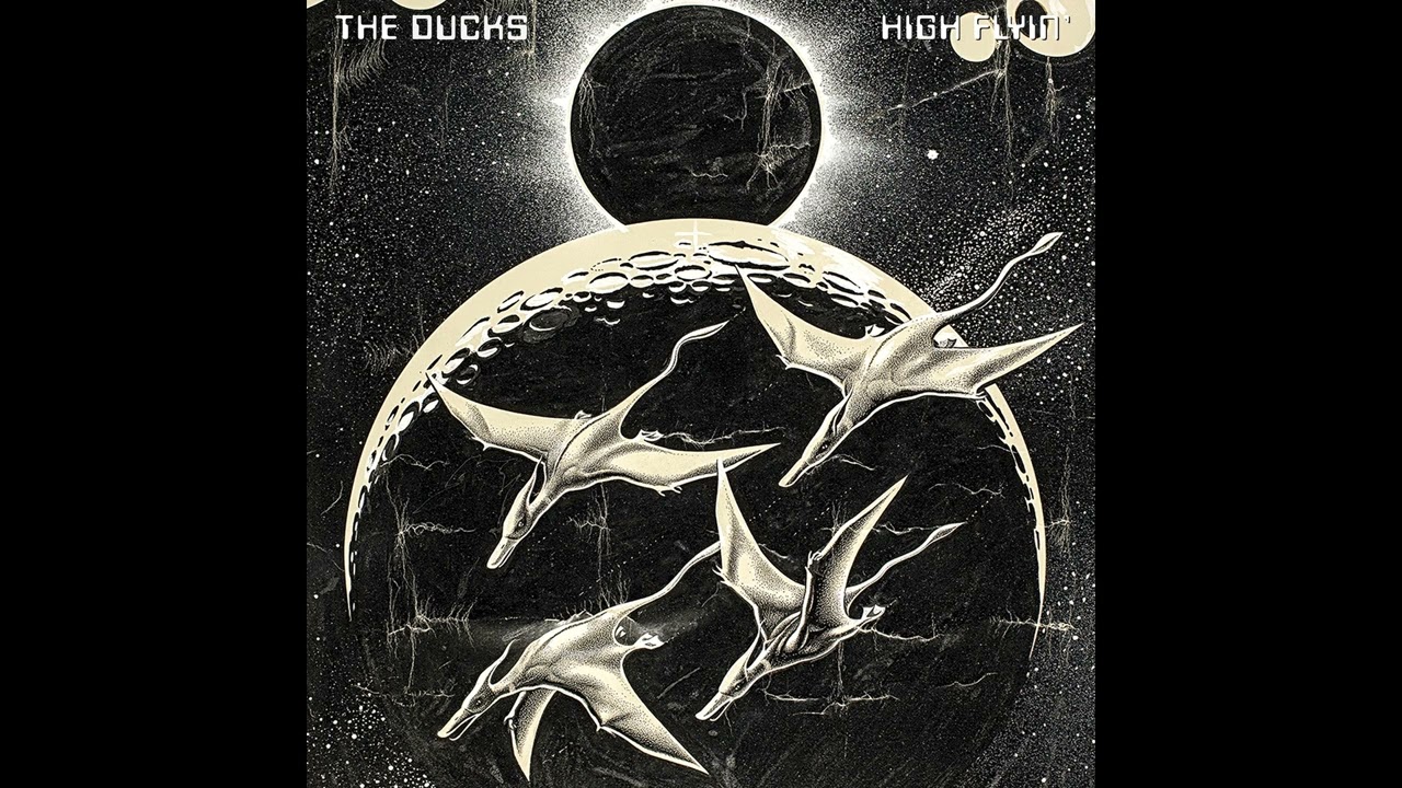 The Ducks - Windward Passage (Live)