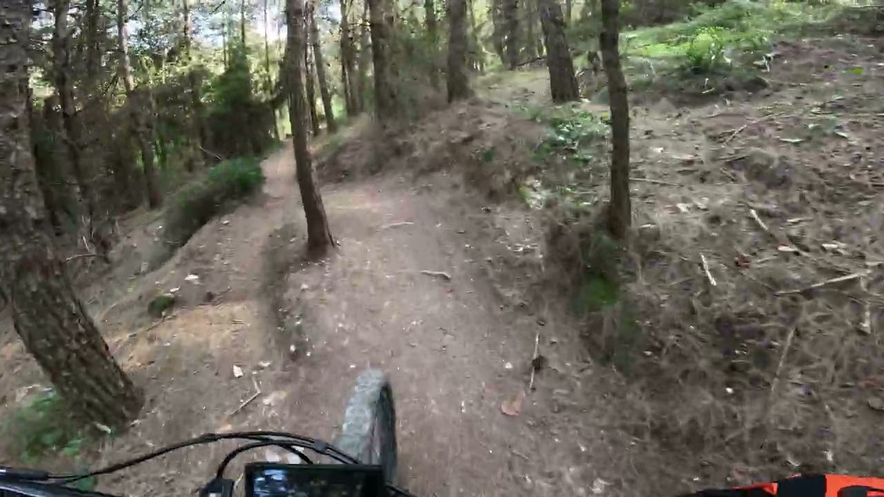 עין השופט ,סינגל כחול צהוב 14.03.24