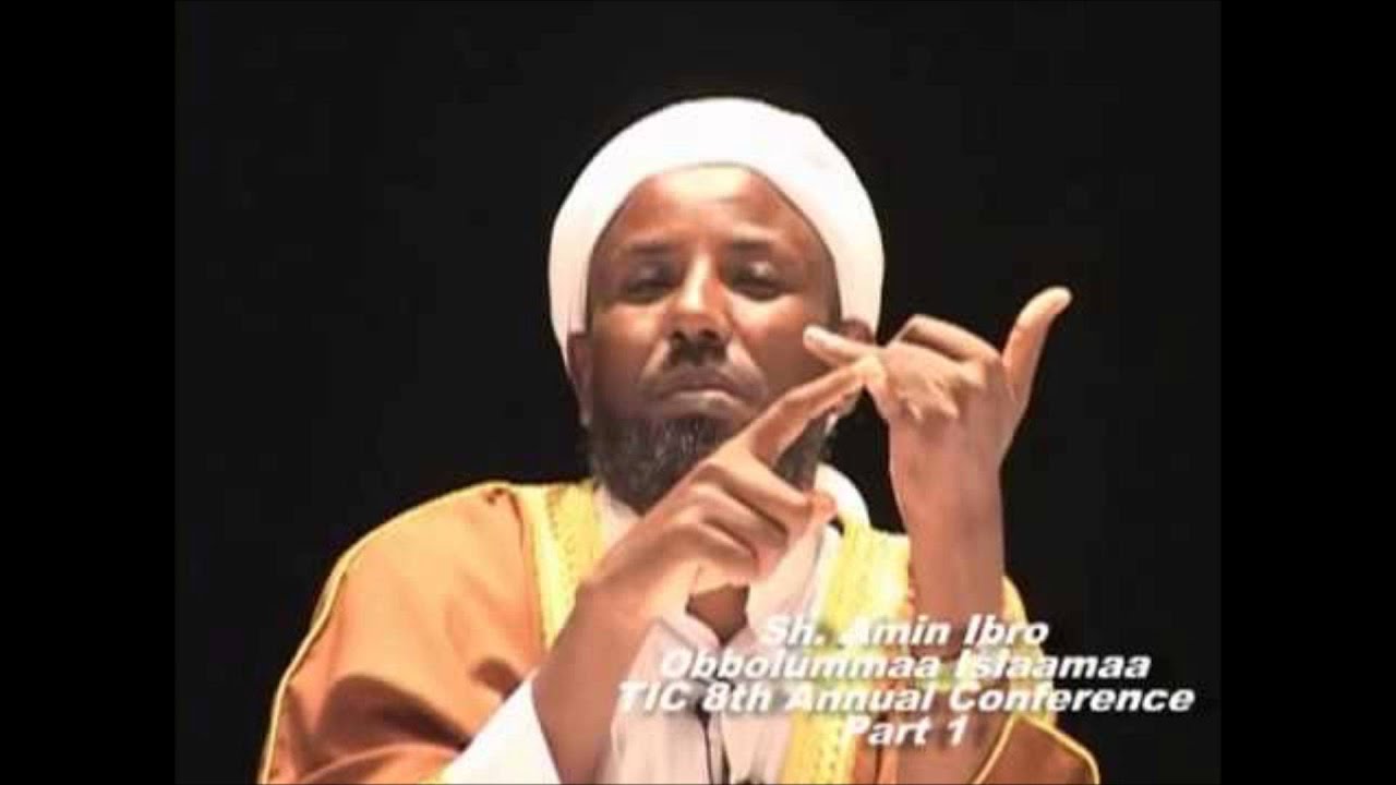 sheik Amin Ibro (hin hirarrin)