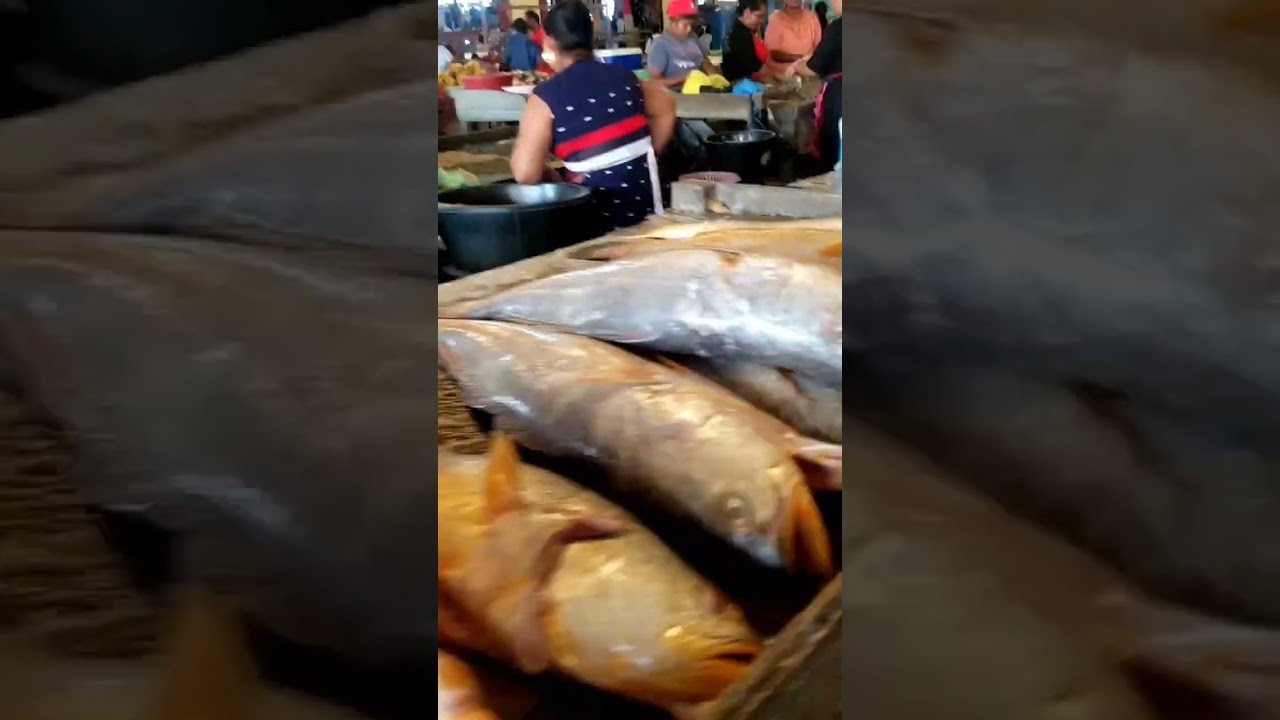 Portmourant Market Corentyne Berbice Guyana 🇬🇾.