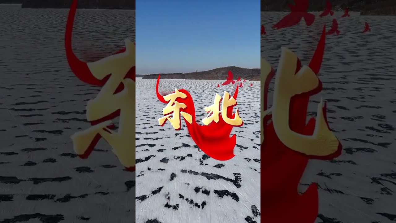 宋晓峰《我的东北老家》Official Music Video #东北文艺复兴 #DBC东北岸 @DongBeiCoast​