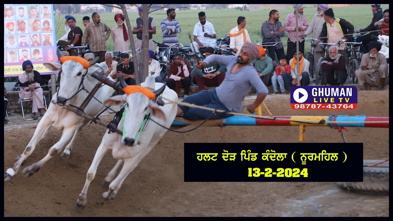 ਹਲਟ ਦੌੜ // ਪਿੰਡ ਕੰਦੋਲਾ // ਨੂਰਮਹਿਲ // 13-2-24