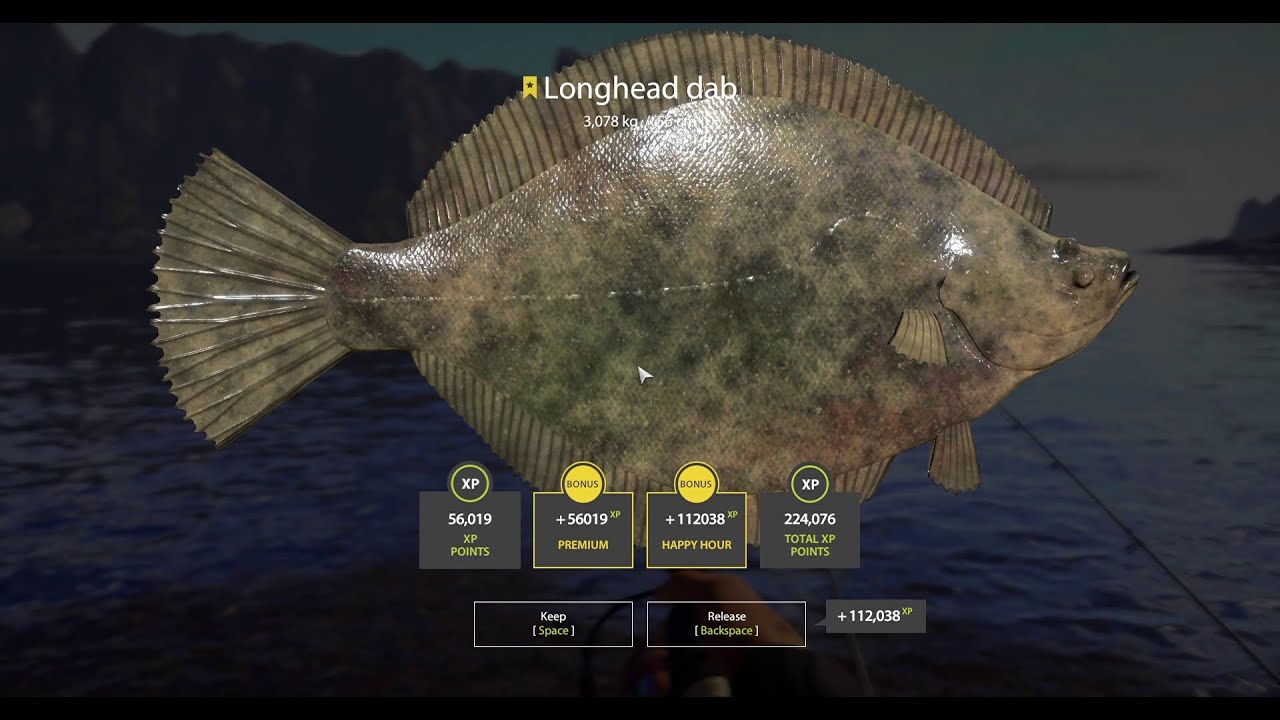 Russian Fishing 4  |  Video #26  |  Longhead dab  | Norwegian Sea