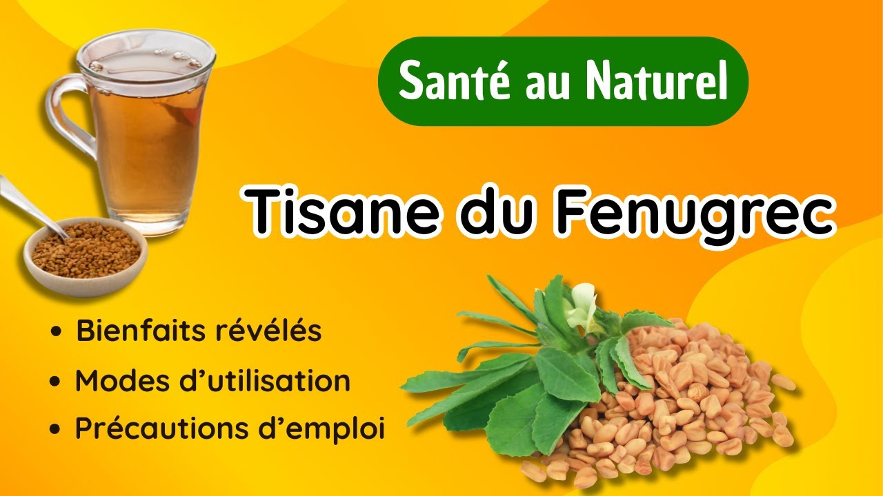 Pourquoi la Tisane de Fenugrec Change Tout pour la Santé ?