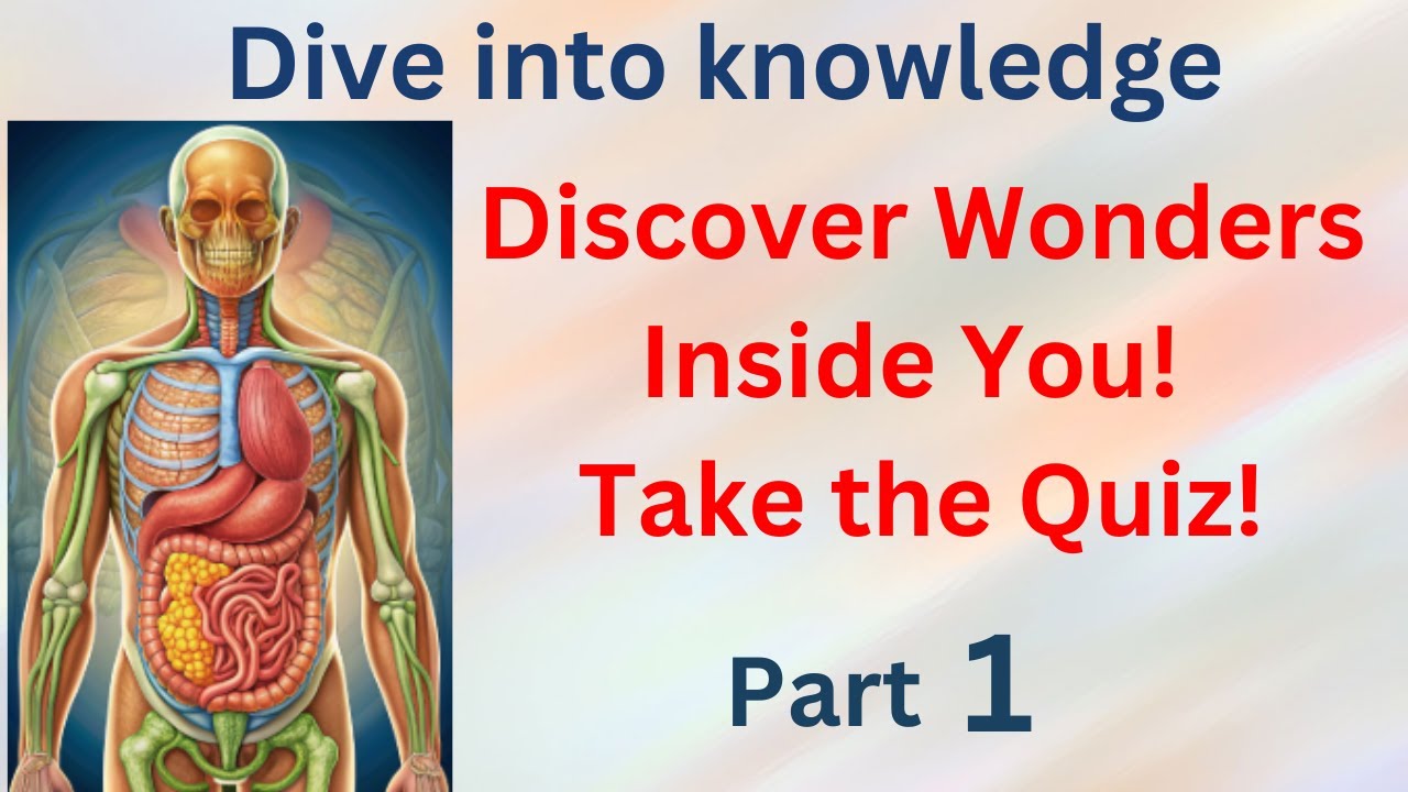 Dive into Knowledge: Fun Quiz Adventure!| human body quiz adventure| part 1