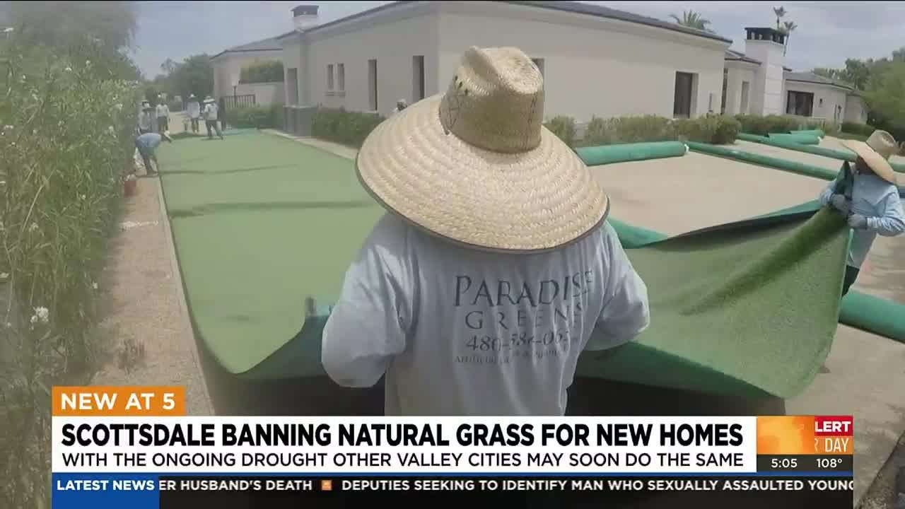 Scottsdale grass ban could boost artificial grass industry