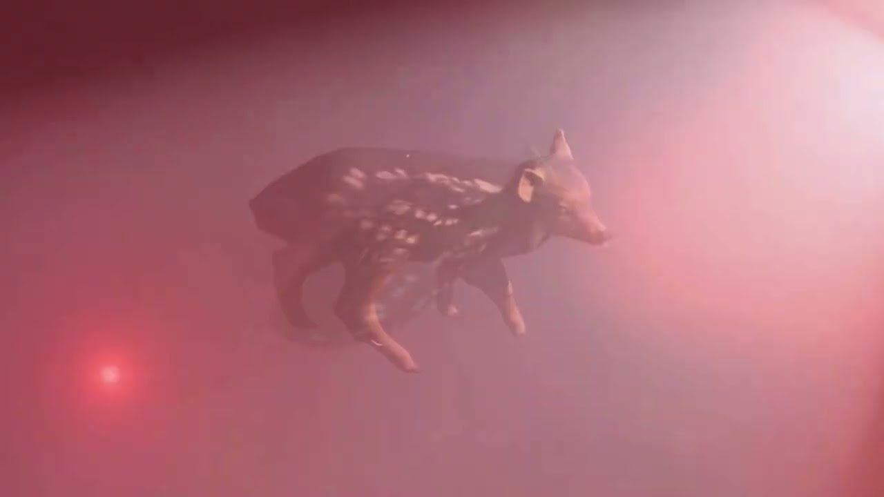 pruebaPudu1