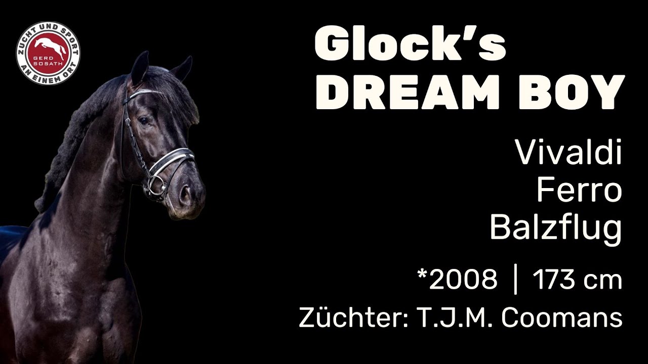 Glock's Dream Boy *2008 | Hengstschau Sosath 2024