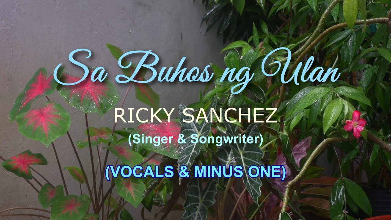 SA BUHOS NG ULAN Ricky Sanchez (Vocals & Minus One)