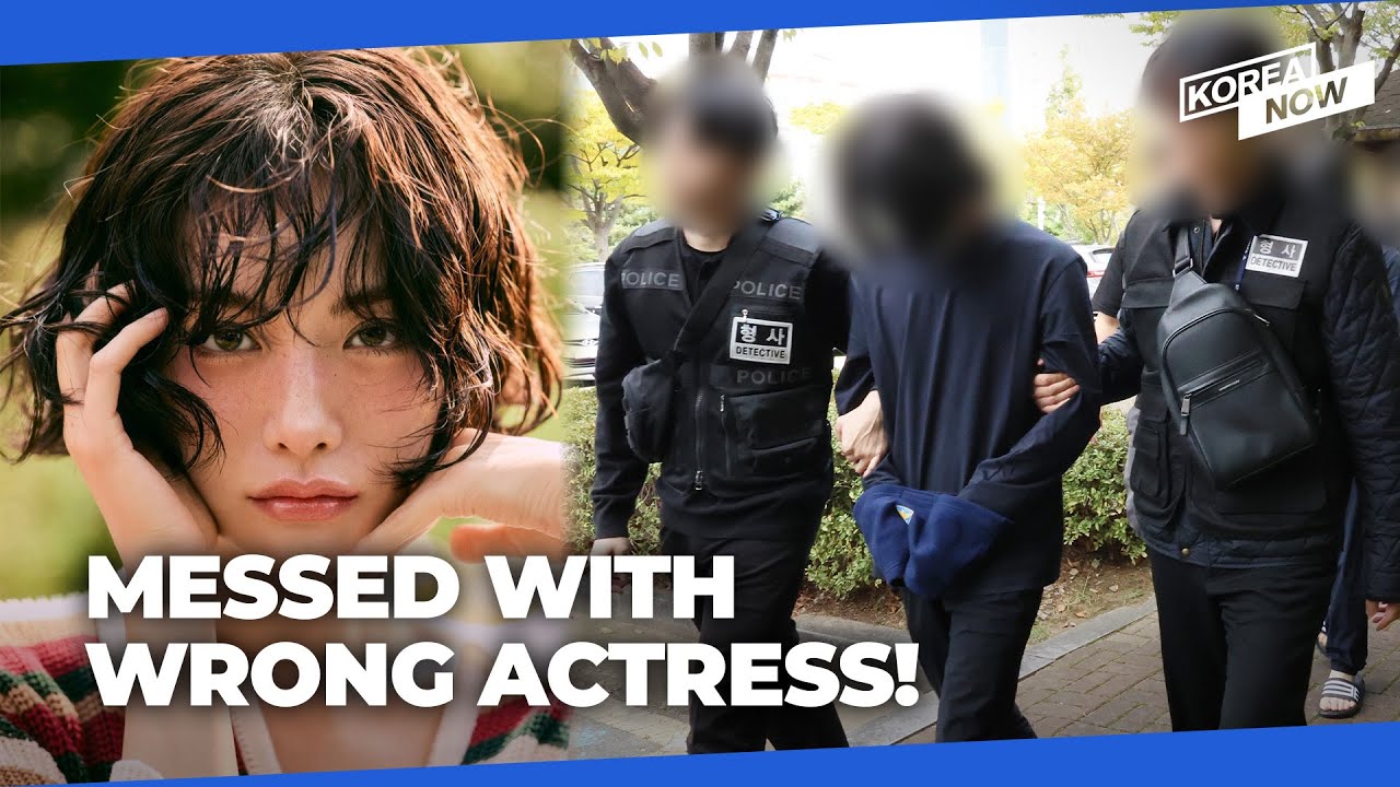Police confirm actress Nana acted in self-defense when she assaulted intruder