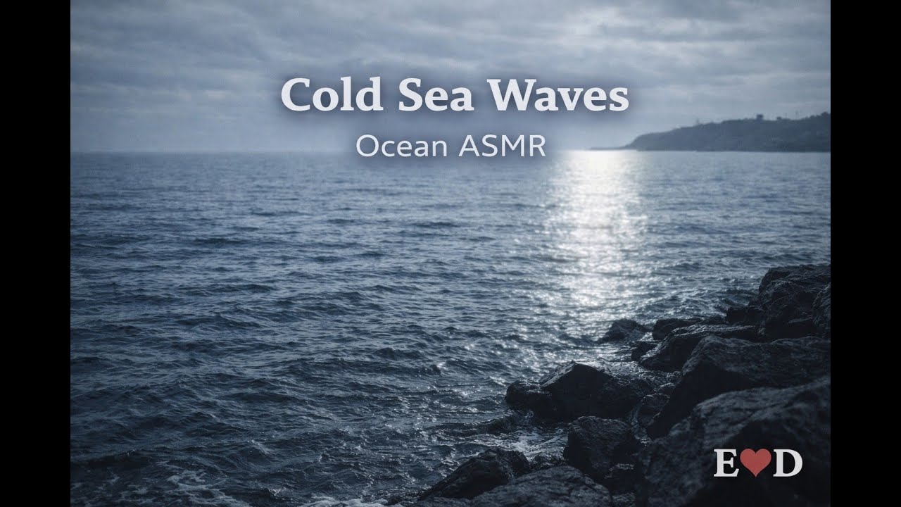 Winter Ocean ASMR 🌊❄️ Calm Sea Waves for Sleep & Relaxation