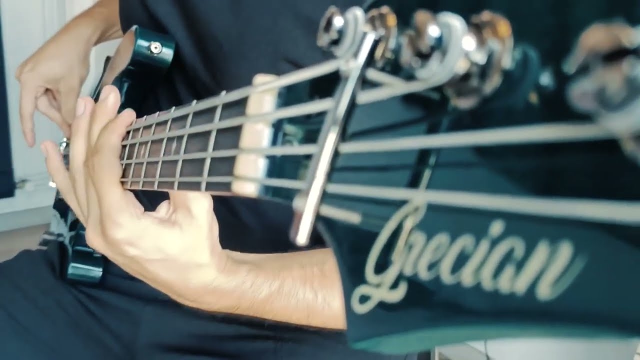 Breaking Benjamin - Hopeless [Bass Cover]
