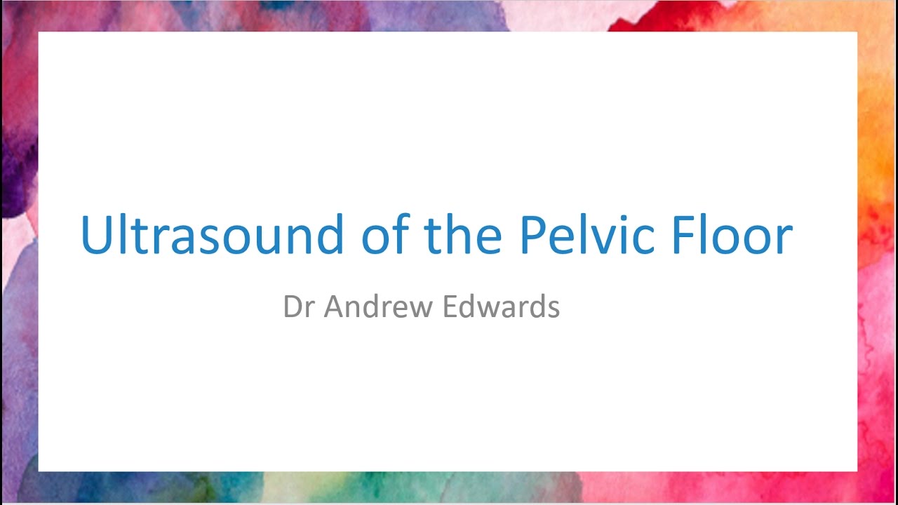 Pelvic Floor Assessment by Ultrasound