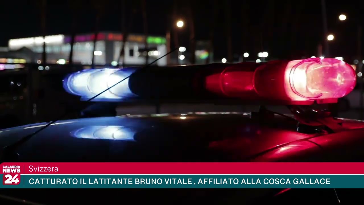 Svizzera - Catturato il latitante Bruno Vitale, affiliato alla cosca Gallace