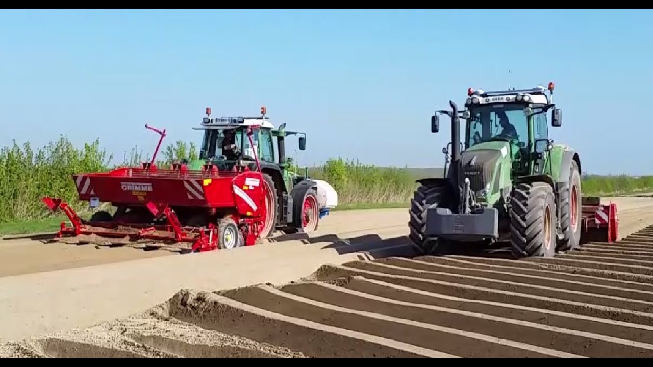 La plantation de Pommes de Terre.