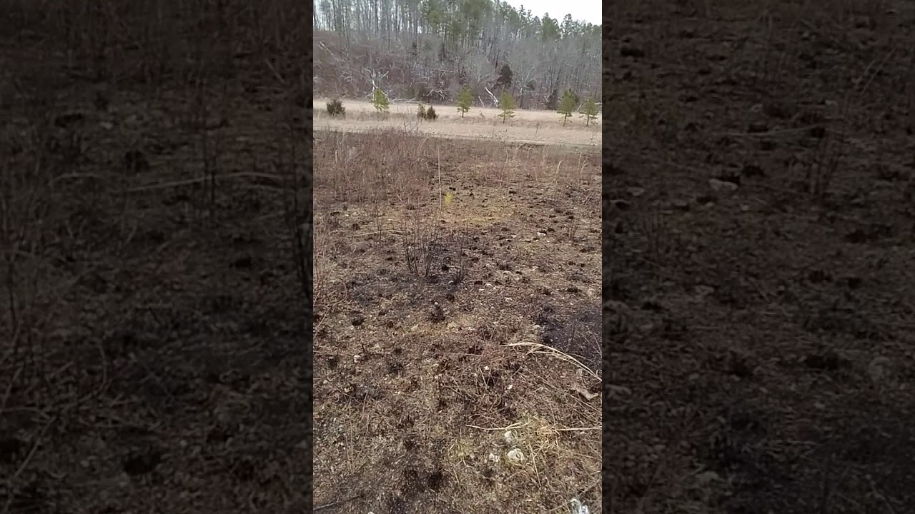 Broadcast seeding a pollinator mix