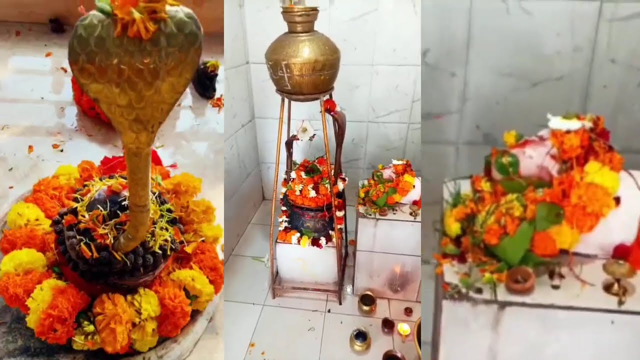 14 फरवरी शनिवार प्रदोष व्रत के दिन 11 चावल के दाने वाला उपाय जरुर करें ||#panditpradeepmishra#upay