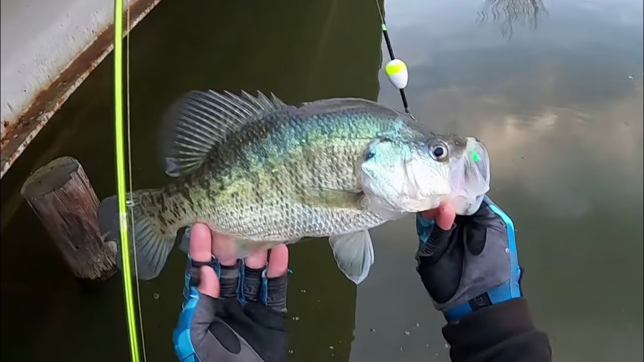2 HOURS Of SLAB CRAPPIE Fishing From The BANK🎣  BANK CRAPPIE FISHING‼️