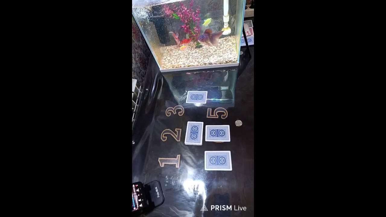 Прямая трансляция ТРИНКА ТЧ 03