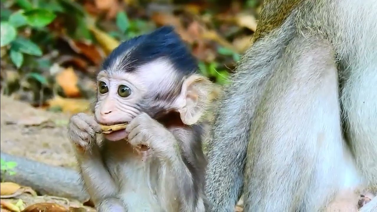 Sad and hungry...