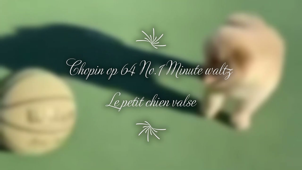 Chopin op.64 №1  Valse du petit chien / the best rendition