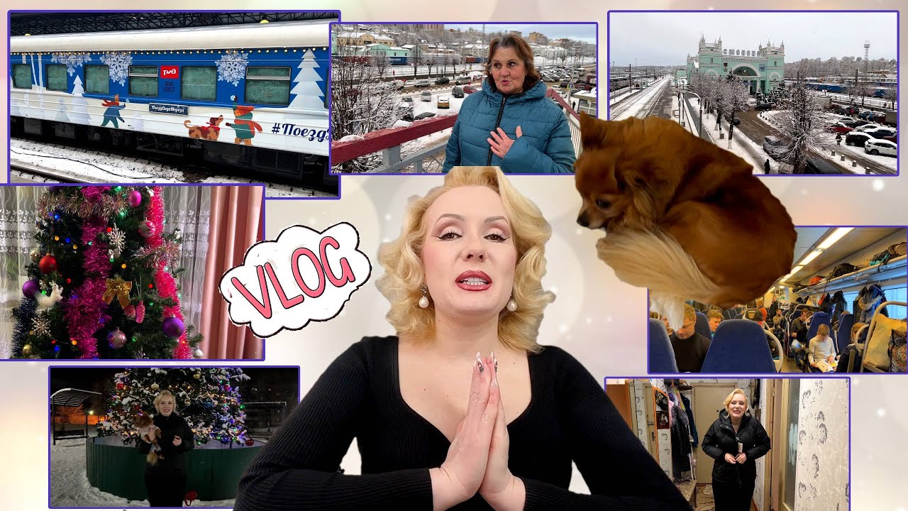 VLOG С МАМОЙ//НОВОГОДНИЙ ПОЕЗД🚇, ВСТРЕЧА С МАМОЙ//НАСТОЯЩИЕ ВОЛКИ🐺 В ПОСЕЛКЕ и пр.