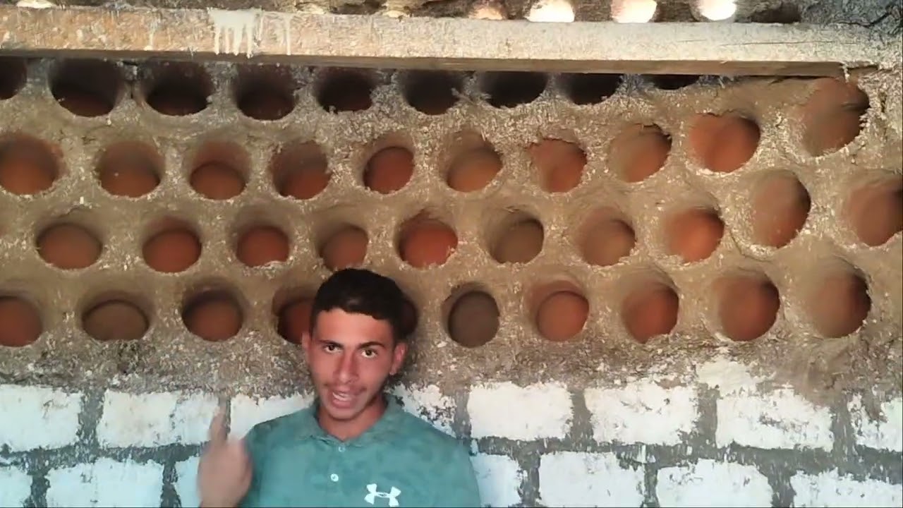 خش شوف برج حمام ١٠٠٠فخاره بطاقه ٥٠٠جوز حمام مع احمد محمود الفخراني للتواصل ٠١٠٠٦٢١٤٦٧١