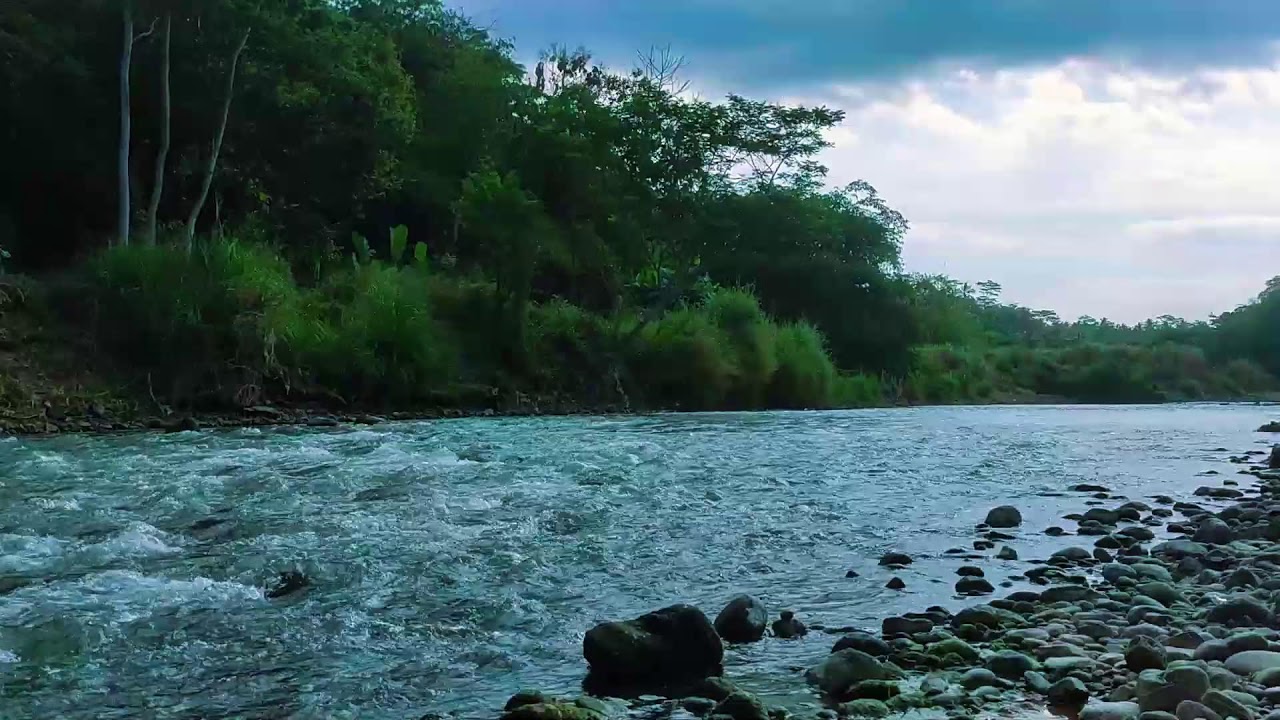 Nature River Flow  10 Hours Deep Relaxing Ambience