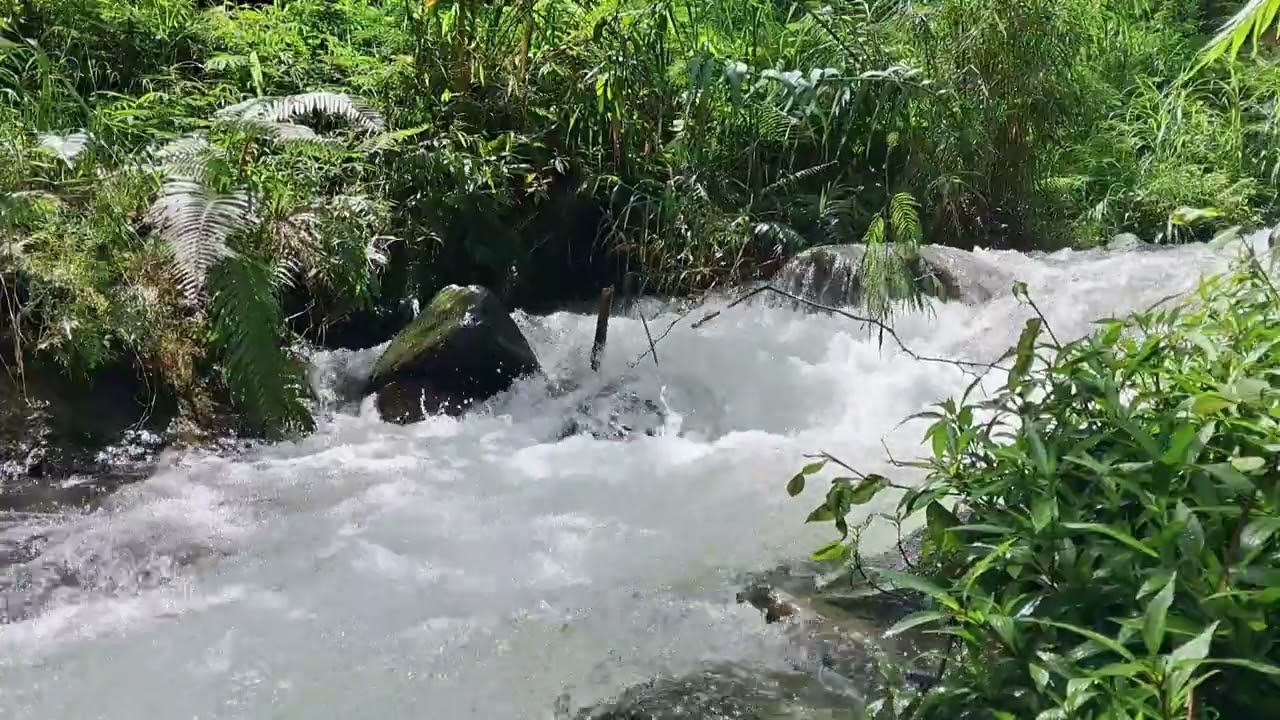 Fall Asleep in Minutes 🌊 Powerful River Sounds for Deep Sleep (40 Minutes of Relaxing Water Noise)