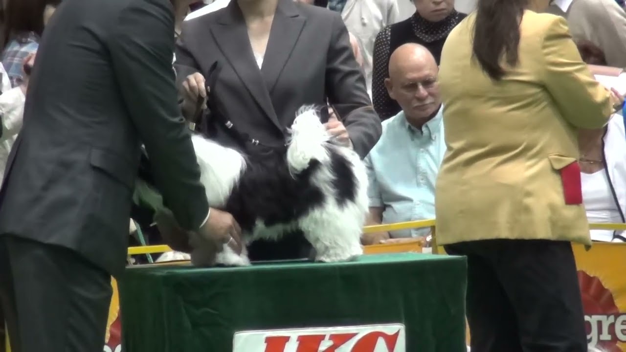 2013FCIアジアFANFAN