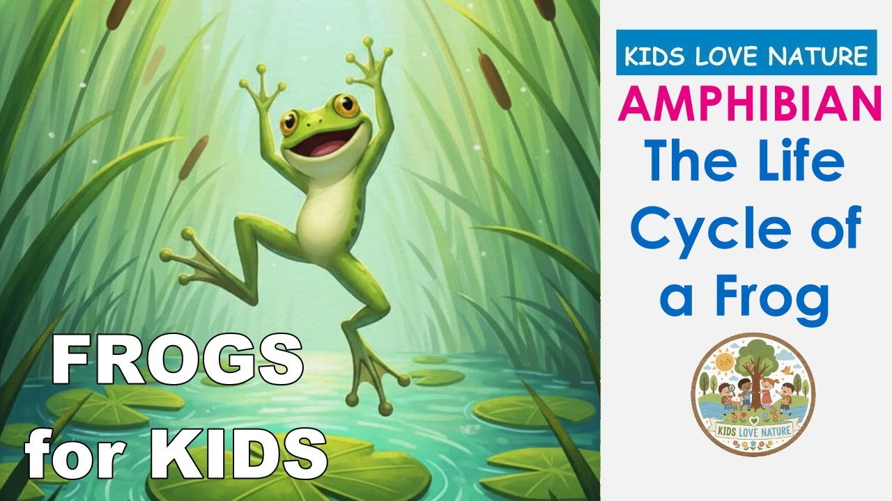 The Life Cycle of a Frog 🐸 | Fun Educational Story for Kids & Toddlers | Frogs for Children